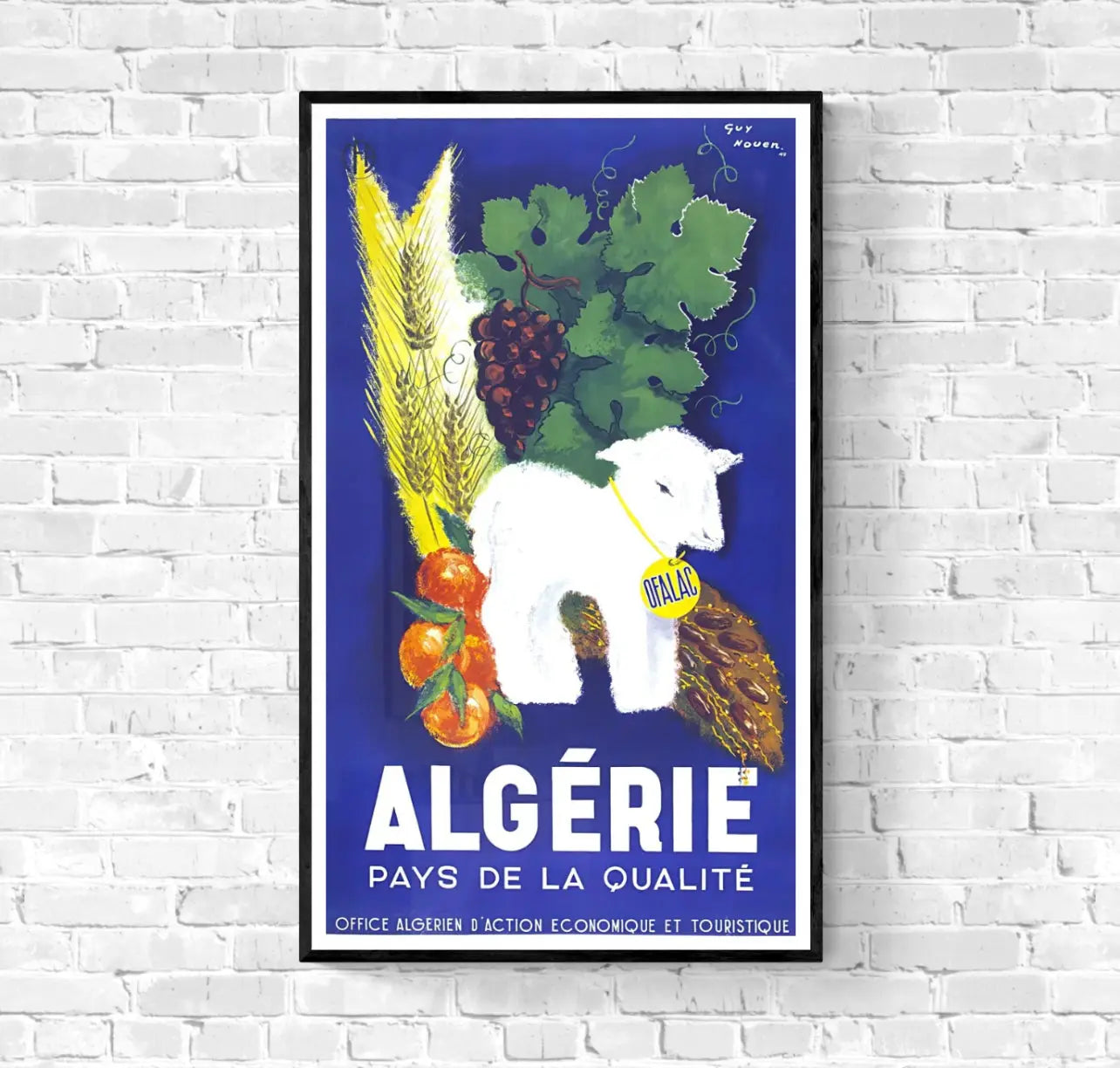 Affiche Algérie Mouton agriculture affichevintagefrance