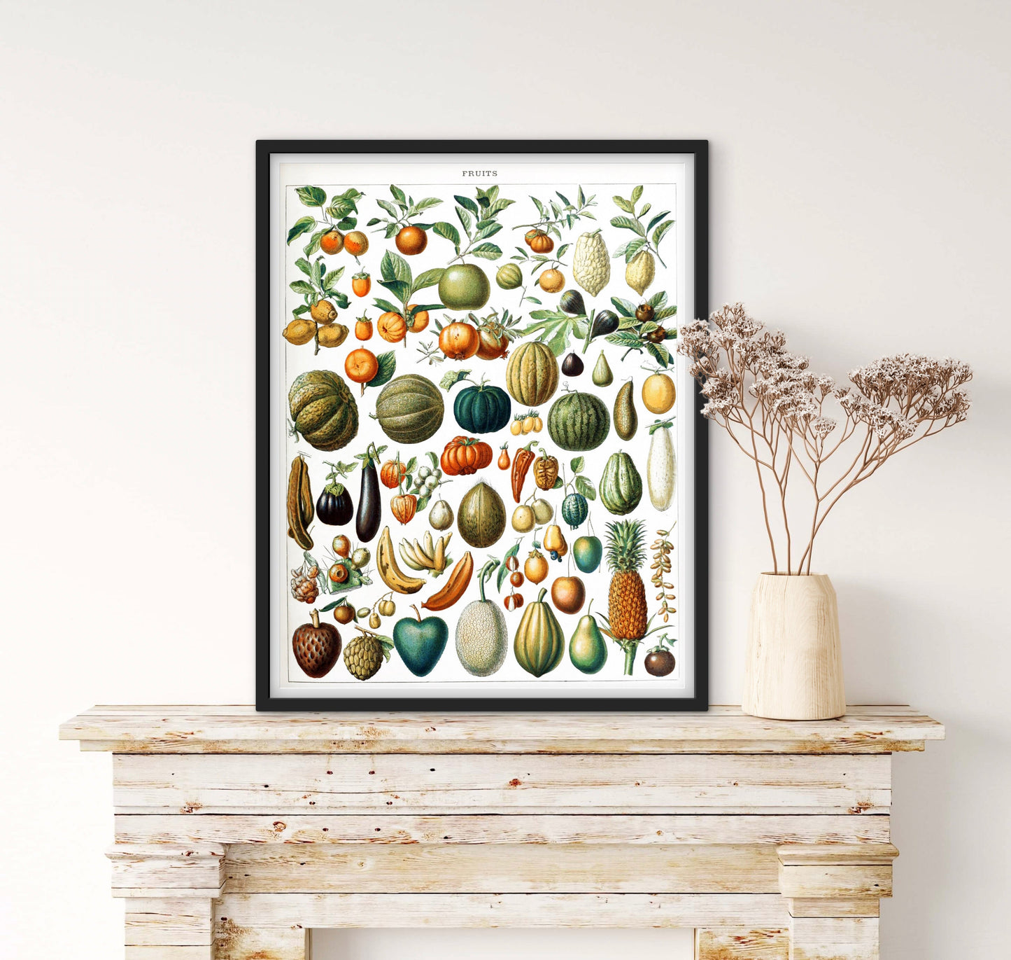 Affiche planche fruits affichevintagefrance