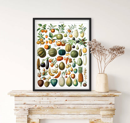 Affiche planche fruits affichevintagefrance