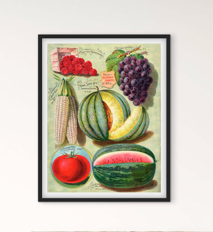 Affiche Fruits planche - affichevintagefrance