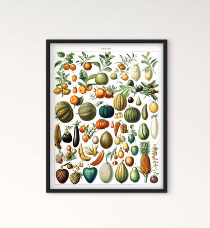 Affiche planche fruits affichevintagefrance